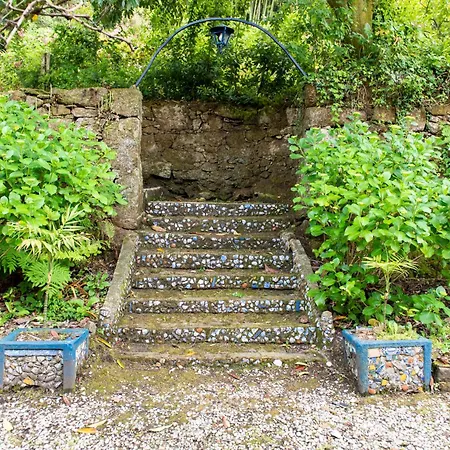 La Chicharra * San Adrian de Cobres