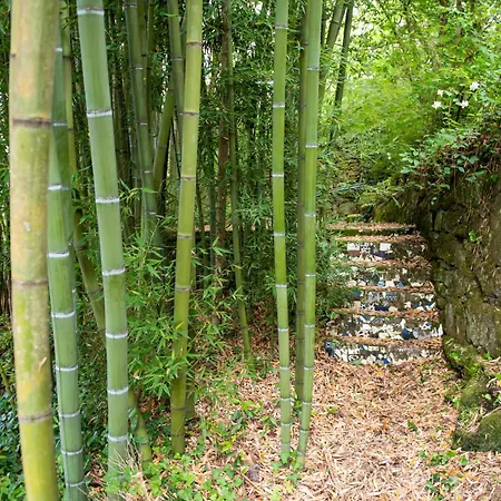 Vakantiehuis La Chicharra *