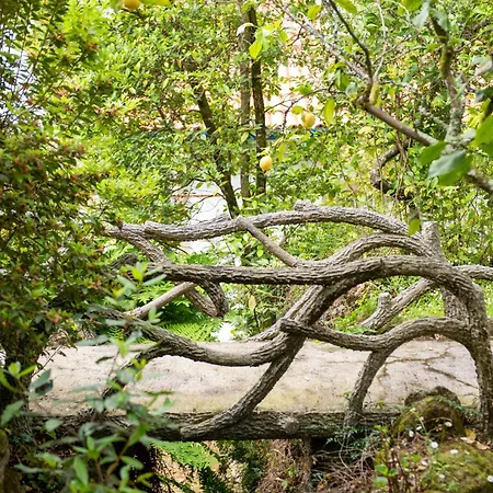 La Chicharra بيت للعطل San Adrian de Cobres