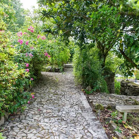 La Chicharra * San Adrian de Cobres