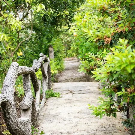 Vakantiehuis La Chicharra