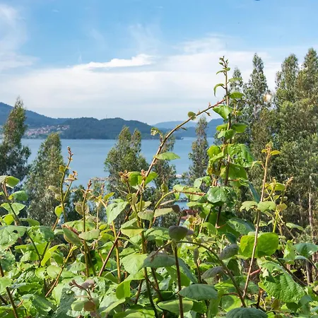La Chicharra San Adrian de Cobres