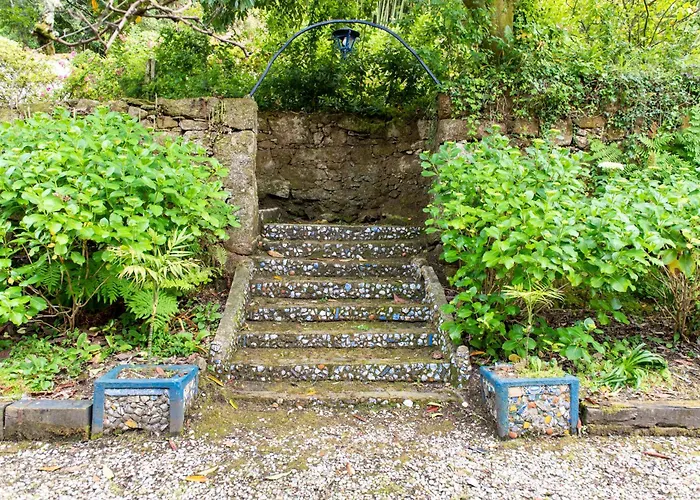 La Chicharra * 산아드리안드코브레스