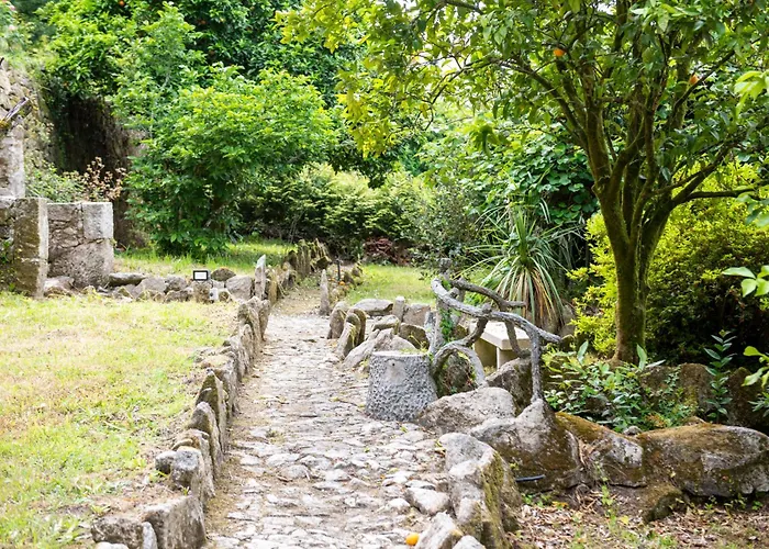 La Chicharra 펜션 *