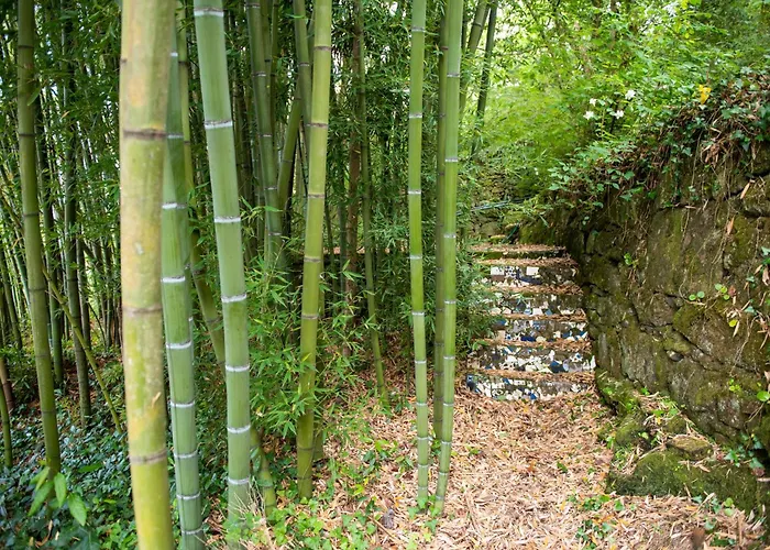 Dom wakacyjny La Chicharra *