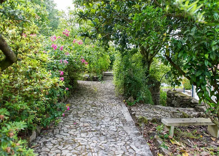 La Chicharra * 산아드리안드코브레스