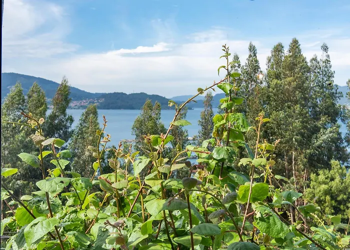 La Chicharra 산아드리안드코브레스